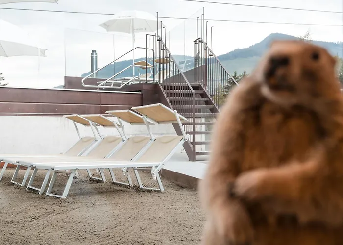 Al Plan, A Mountain Moving Hotel